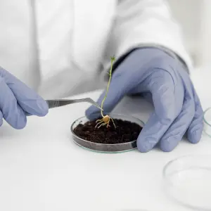 Fieldwork & Survey 11 Agriculture & Soil Research