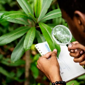 Fieldwork & Survey 4 Environmental & Ecological Survey