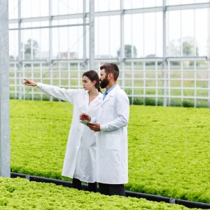 Greenhouse Operation