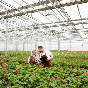 Greenhouse Operation